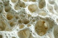 Bone spongy structure close-up Ai photo
