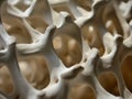 Bone spongy structure close-up, healthy texture of bone