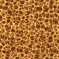 Bone spongy structure seamless Royalty Free Stock Photo