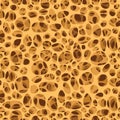 Bone spongy structure seamless Royalty Free Stock Photo