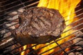 Bone-in Tomahawk Ribeye Steak on grill angled Royalty Free Stock Photo