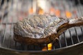 Bone-in Tomahawk Ribeye Steak on grill angled Royalty Free Stock Photo