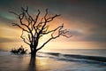 Bone Yard Sunrise Botany Bay Beach Edisto Island