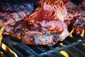 Boneless beef ribs grilling over flames with barbecue sauce Royalty Free Stock Photo