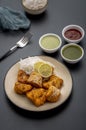 Fish fry snack with sauce and snack Royalty Free Stock Photo