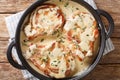 Boneless pork chops served in creamy wine sauce with herbs close-up in a pan. Horizontal top view Royalty Free Stock Photo