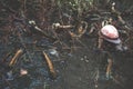 Bones, animal`s remains, construction helmet and gas mask in the puddle of mud in Chernobyl ghost town Royalty Free Stock Photo