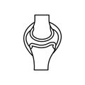 Bones cartilage joints ligament icon. Simple line outline vector orthopedics icons for ui and ux website or mobile application