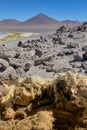 Bones and flesh at Colorada Lagoon - South of Bolivia.