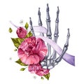 Bones of human hands. Skeleton hand with carnation flowers. Watercolor anatomical illustration. Halloween design.