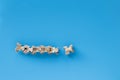 Bones from the neck of a duck on a blue background Royalty Free Stock Photo