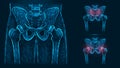 Bones of the pelvis and hip, human anatomy