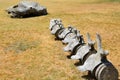 Bones of whale in Bartolomeu Dias Museum Royalty Free Stock Photo