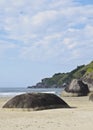 Bonete on Ilhabela Island, Brazil