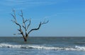 Boneyard Beach