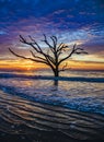 Botany Bay Plantation in Editso Island South Carolina near Charleston SC Royalty Free Stock Photo