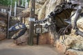 Boneyard, Disney WOrld, Animal Kingdom, Travel Royalty Free Stock Photo