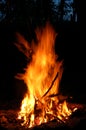 Bonfire 1 Royalty Free Stock Photo