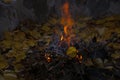 Bonfire in the autumn in the evening. Royalty Free Stock Photo