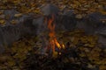 Bonfire in the autumn in the evening Royalty Free Stock Photo