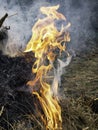 Bonfire and balefire. Village life. Abandoned places. Forgotten people. natural living.