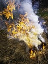 Bonfire and balefire. Village life. Abandoned places. Forgotten people. natural living.