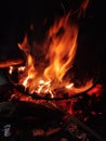 Bonfire blaze Royalty Free Stock Photo