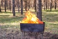 Bonfire on the brazier in the coniferous forest. Kebab, shashlyk. Picnic in the forest. Fire in the forest, mockup Royalty Free Stock Photo