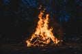 Bonfire burning trees at night. Large orange flame  on a black background. Fire on black. Brightly, heat, light, camping, Royalty Free Stock Photo