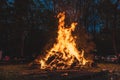 Bonfire burning trees at night. Large orange flame  on a black background. Fire on black. Brightly, heat, light, camping, Royalty Free Stock Photo