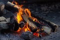 Bonfire burning trees at night. Large orange flame  on a black background. Fire on black. Brightly, heat, light, camping, Royalty Free Stock Photo