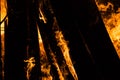 Bonfire burning wood in flames at night Royalty Free Stock Photo