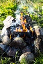 Bonfire burns in forest. Tourist fire for cooking at nature