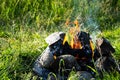 Bonfire burns in forest. Tourist fire for cooking at nature