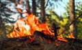 Bonfire Camp fire in the forest, touristic view, concept of travel and freedom Royalty Free Stock Photo