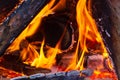 Bonfire, campfire background. Clouse up burning flame Royalty Free Stock Photo