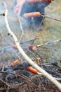 Bonfire campfire fire Flames sausage on the BBQ Royalty Free Stock Photo