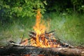 Bonfire campfire fire summer forest Royalty Free Stock Photo