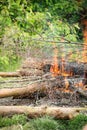 Bonfire campfire fire summer forest Royalty Free Stock Photo