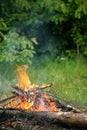 Bonfire campfire fire summer forest Royalty Free Stock Photo