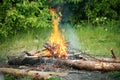 Bonfire campfire fire summer forest Royalty Free Stock Photo