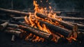 Bonfire with charred firewood close-up, background on a black Royalty Free Stock Photo