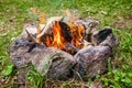 Bonfire in the circle of stones in the forest Royalty Free Stock Photo
