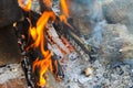 Bonfire Royalty Free Stock Photo