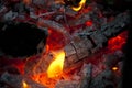 Bonfire closeup. fire and firewood turned into coal ash. burning tree branches wooden logs. picnic on camping. warm up the stove. Royalty Free Stock Photo