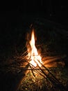 Bonfire on a cold night Royalty Free Stock Photo