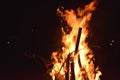 Bonfire Royalty Free Stock Photo