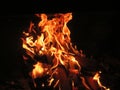 bonfire fire heat hot flame burn incandescent wood fireplace ash Royalty Free Stock Photo