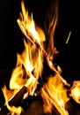 bonfire, fire, logs close up at night