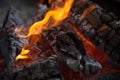 Bonfire. Fire wood. Grilling and cooking fire. Woodfire with flames. Royalty Free Stock Photo